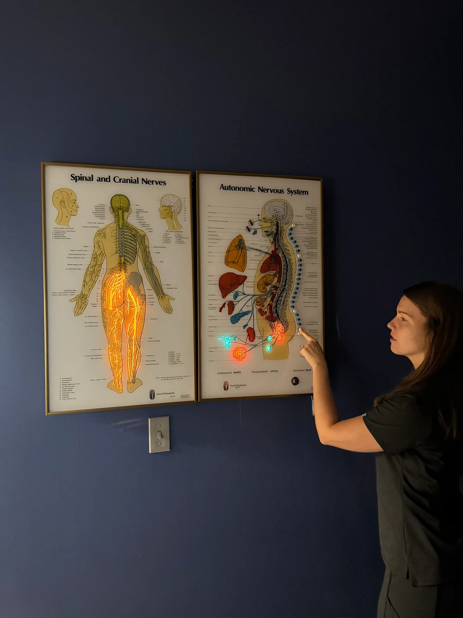 Chiropractic care for leg pain at Full Circle Health in Chesterfield